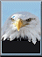 Benutzeravatar